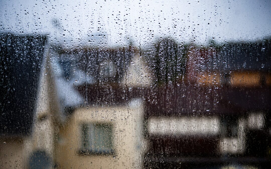 How to Move in the Rain, a Vancouver Survival Guide