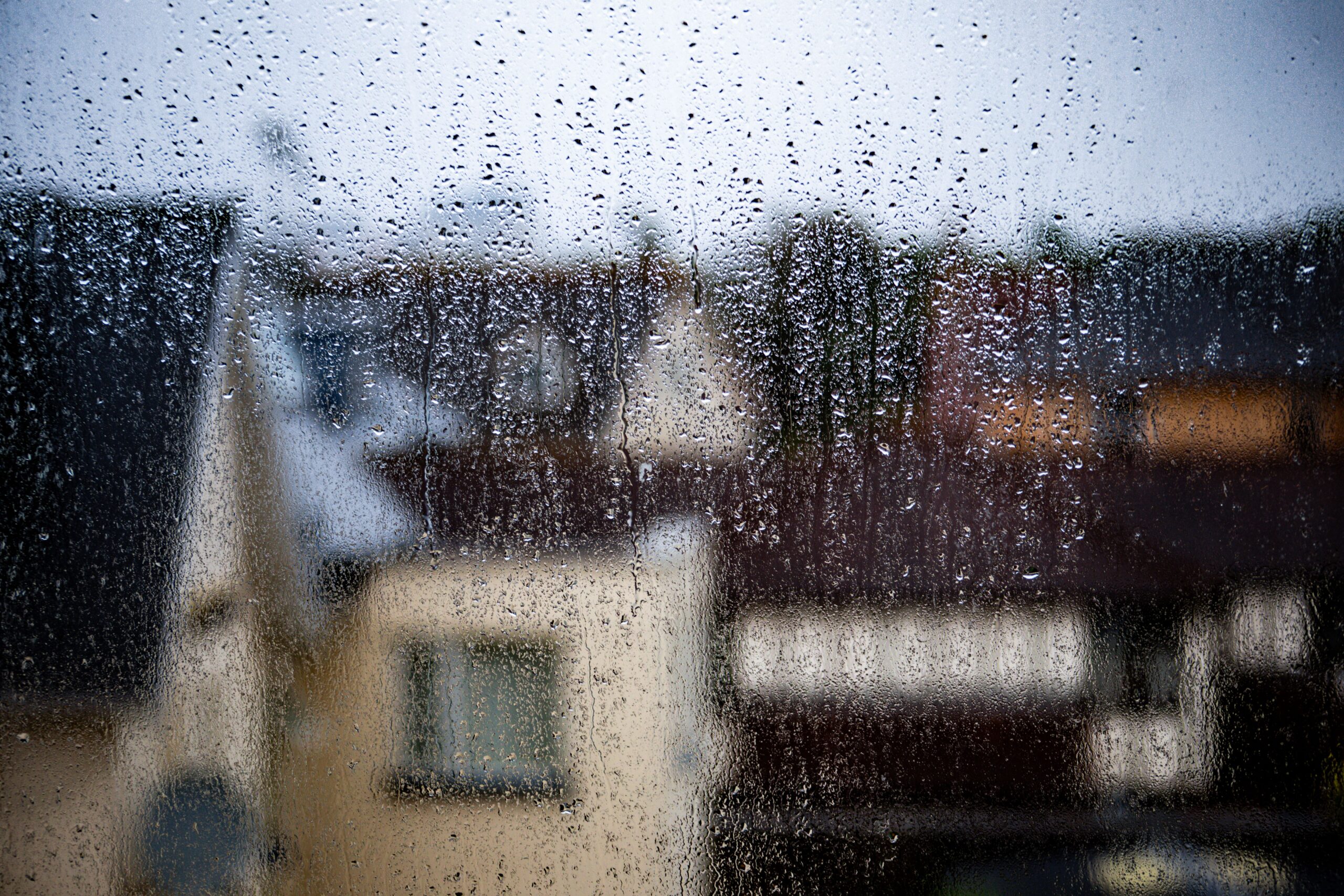 How to Move in the Rain, a Vancouver Survival Guide
